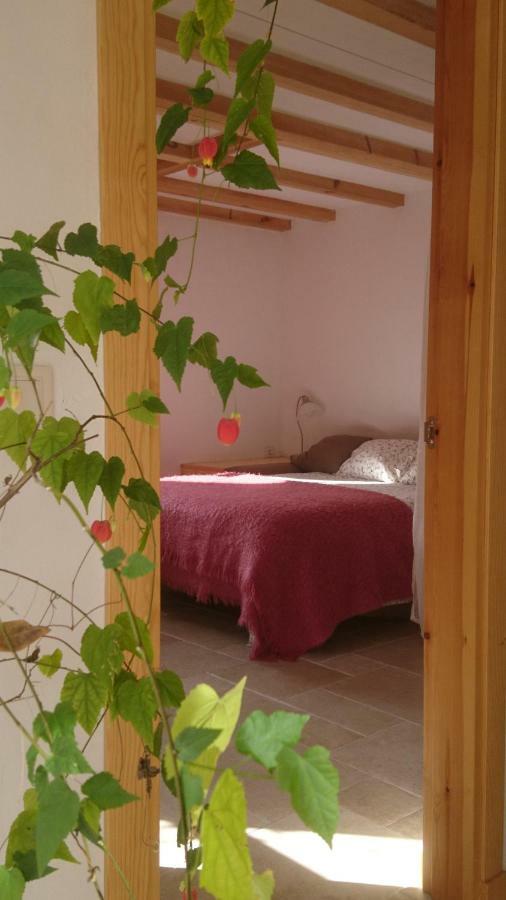 Ansó Casa Turreta 아파트 외부 사진