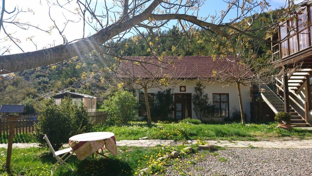 Ansó Casa Turreta 아파트 외부 사진
